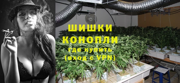 дживик Богородск