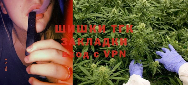 2c-b Богородицк