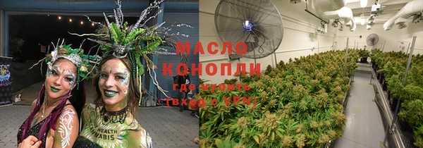 дживик Богородск