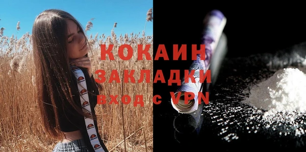 2c-b Богородицк