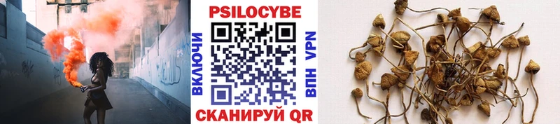 Галлюциногенные грибы Psilocybine cubensis  купить   Верещагино 